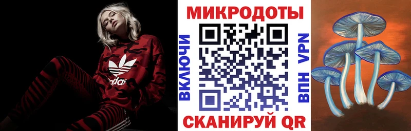 закладка  Ноябрьск  Галлюциногенные грибы MAGIC MUSHROOMS 