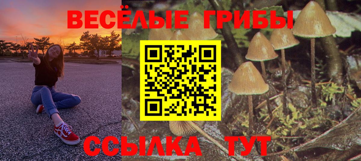 Псилоцибиновые грибы Psilocybine cubensis Ноябрьск