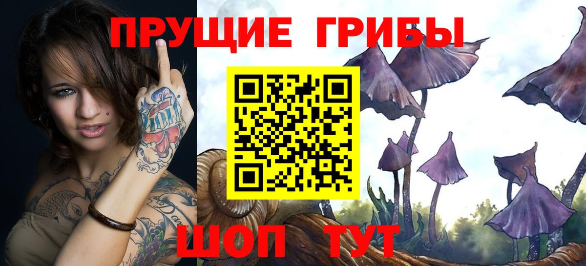 ГАШ Ноябрьск