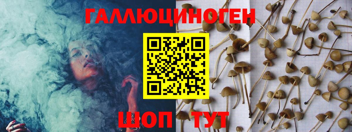 Ноябрьск  Псилоцибиновые грибы Cubensis  Вход с VPN 